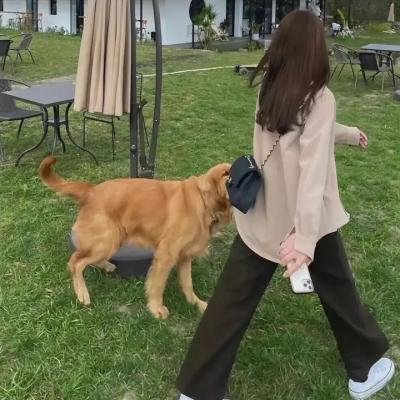 某天初恋闯进来